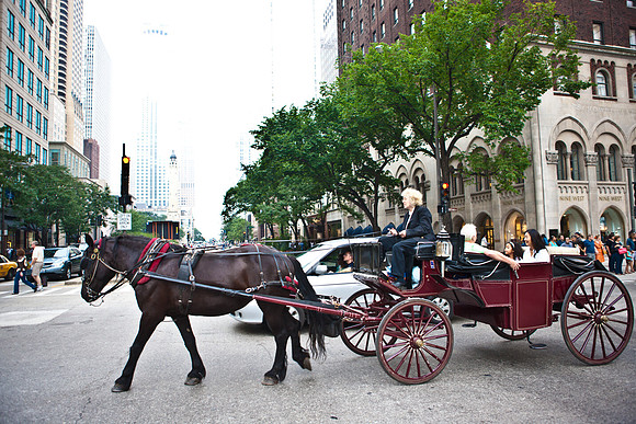 0016_DG_Chicago_Illinois_5L8Y3028