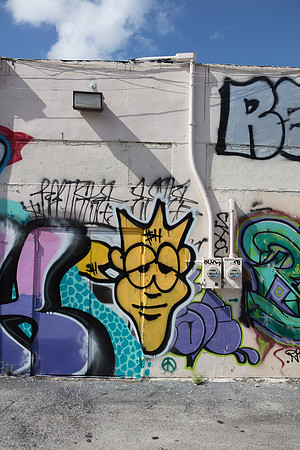 20161108_Wynwood_H5D2893