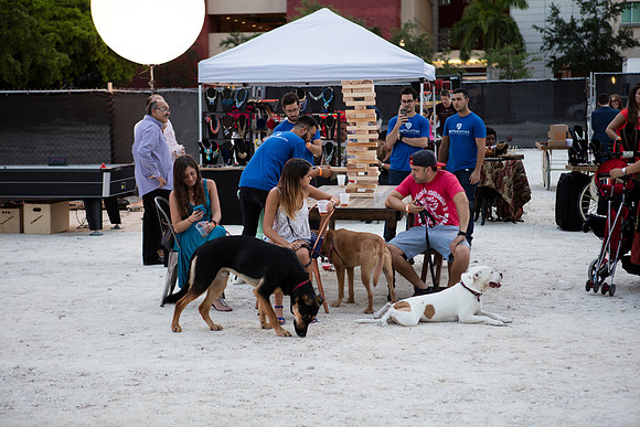 20160602_300_Biscayne_Moriarty_S5A8760