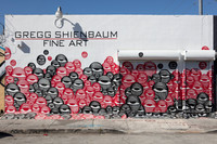 20161122_Wynwood_S5D1582