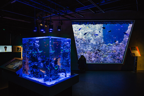 20170508_Science_Museum_9C7C5660