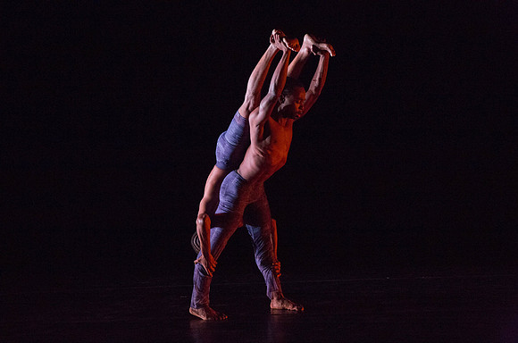 20131220_Ayikodans_Arsht__C7C1396