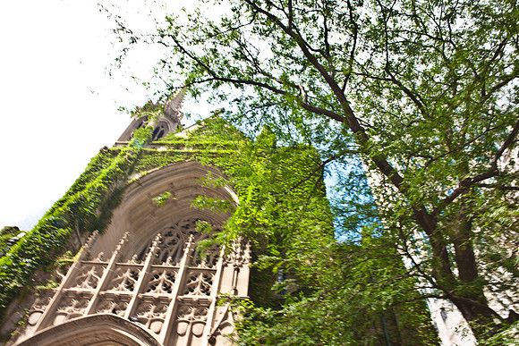 0015_DG_Chicago_USA_2009_5L8Y0805