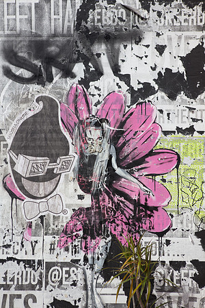 20161108_Wynwood_S5D3079