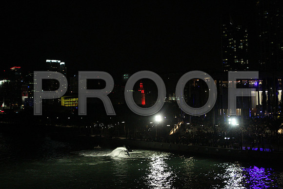 20141204_Pamm_Basel_2014_AL1B6657