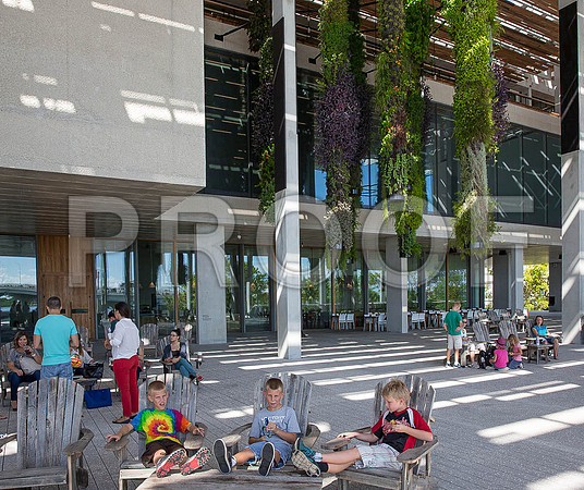 20140801_Pamm_9C7C7908