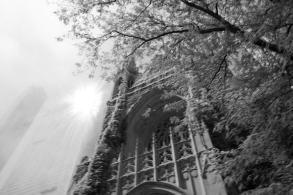 0015_DG_Chicago_USA_2009_5L8Y0804