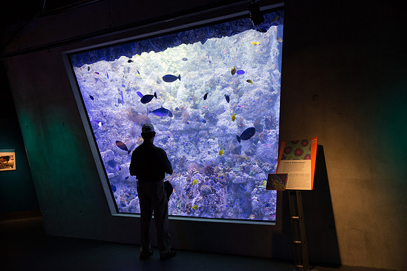 20170508_Science_Museum_9C7C5348