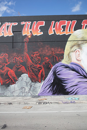 20161108_Wynwood_S5D3190