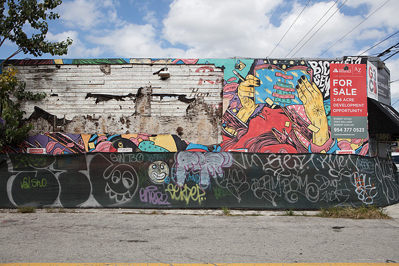 20161108_Wynwood_H5D2975