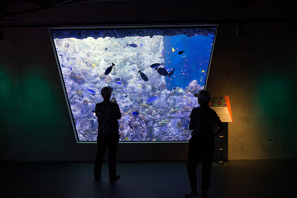 20170508_Science_Museum_9C7C5359