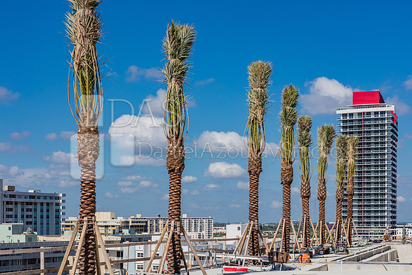 20160822_Hyde_Resort&Residences_Moriarty_S5A1514