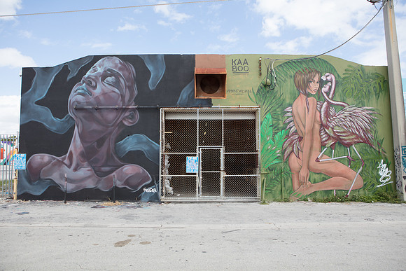 20161108_Wynwood_H5D2938