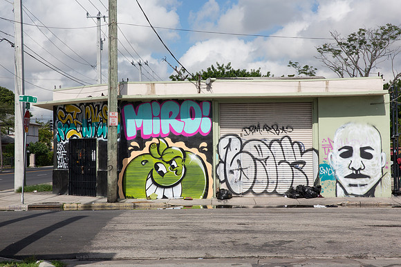 20160812_Wynwood_9C7C0297