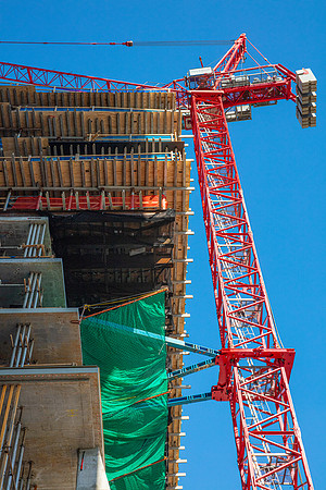 20241220_Waldolf_Astoria _Moriarty_MG_6004