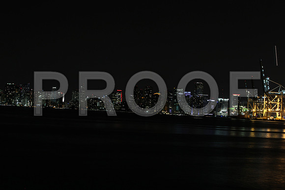 20140819_Miami_Skyline_night_CG3P0931