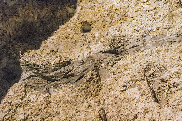 20000810_A0M2148_SH