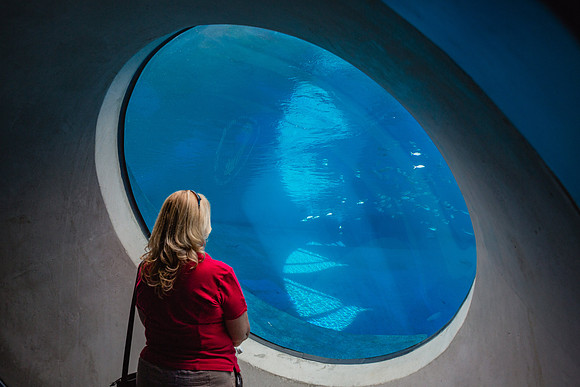20170508_Science_Museum_9C7C5406