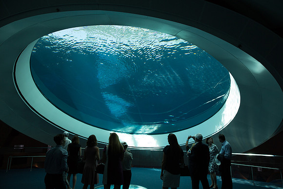 20170508_Science_Museum_9C7C5451
