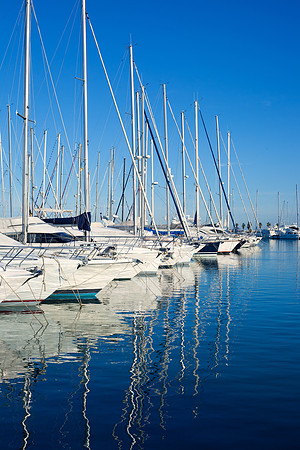 shutterstock_95445556