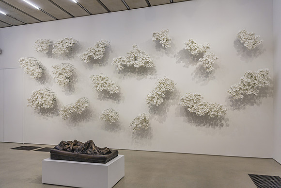 20150707_Pamm_9C7C3578