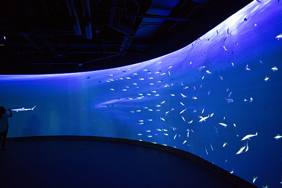 20170508_Science_Museum_9C7C5597