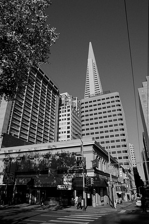 0027_DG_San_Francisco_CA_USA_2009_5L8Y1539