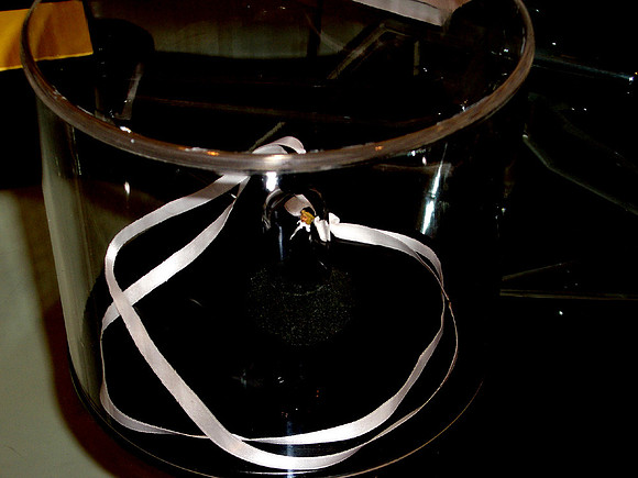 IMGP0171A