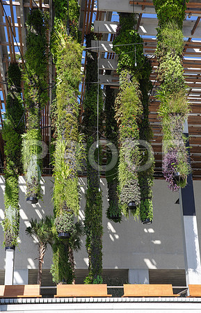 20140806_9C7C9673