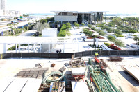 20141216_Pamm_9C7C1161