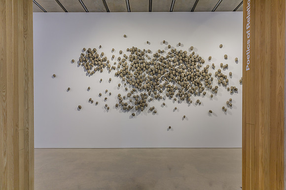 20150707_Pamm_9C7C3491