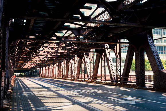 0015_DG_Chicago_USA_2009_5L8Y2216