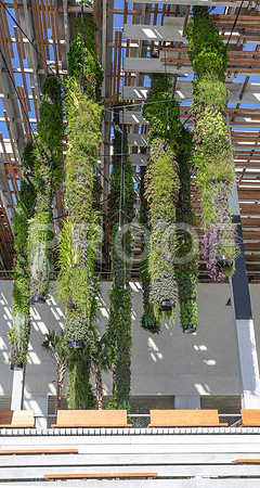 20140806_9C7C9693