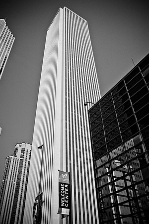 0015_DG_Chicago_USA_2009_5L8Y1236