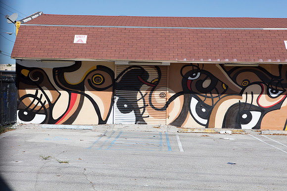20161122_Wynwood_S5D1647