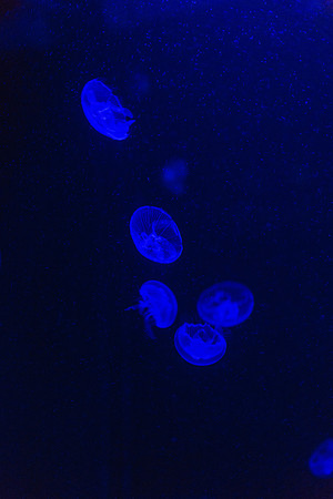 20170508_Science_Museum_9C7C5589
