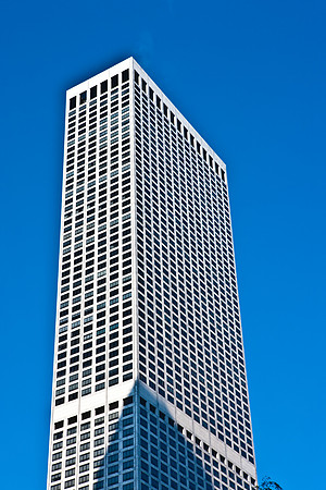 0015_DG_Chicago_USA_2009_5L8Y1542