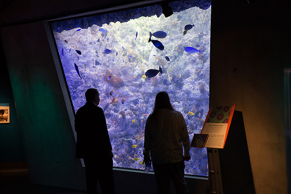 20170508_Science_Museum_9C7C5342