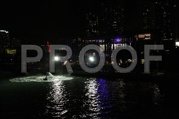 20141204_Pamm_Basel_2014_AL1B6519