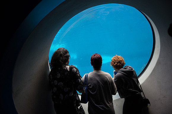 20170508_Science_Museum_9C7C5662