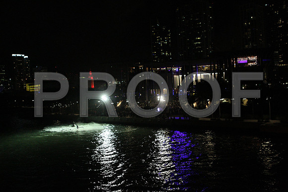 20141204_Pamm_Basel_2014_AL1B6541