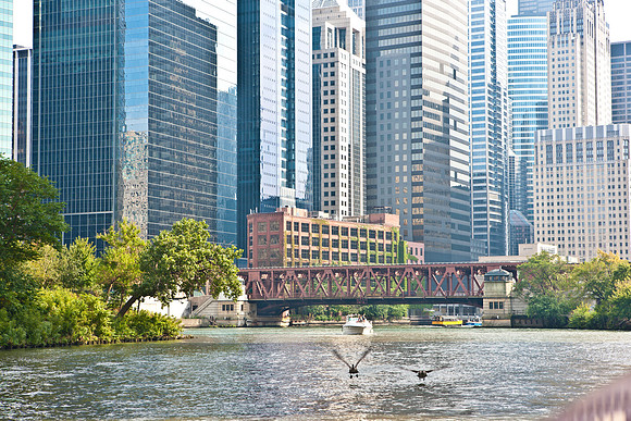 0015_DG_Chicago_USA_2009_5L8Y2667