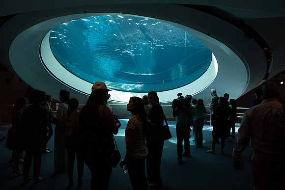20170508_Science_Museum_9C7C5568