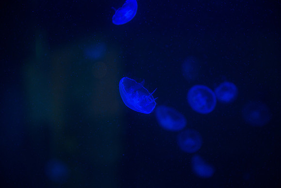 20170508_Science_Museum_9C7C5432