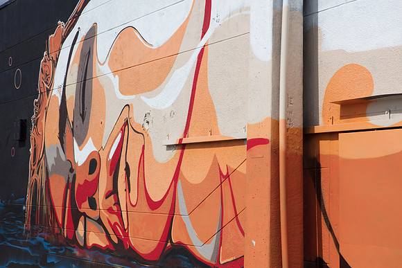 20161108_Wynwood_H5D2923