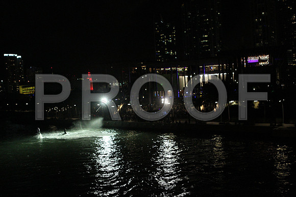 20141204_Pamm_Basel_2014_AL1B6547