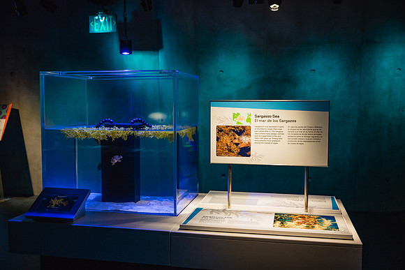 20170508_Science_Museum_9C7C5341