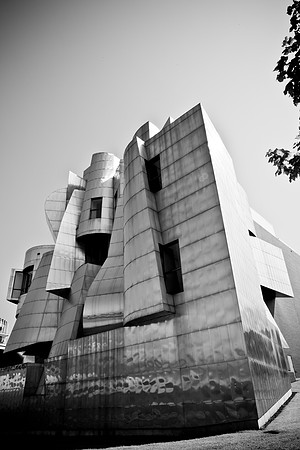 0017_DG_Minneapolis_Minnesota_South_5L8Y3772