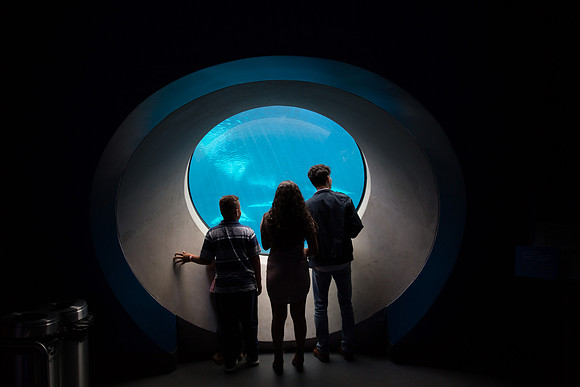20170508_Science_Museum_9C7C5666