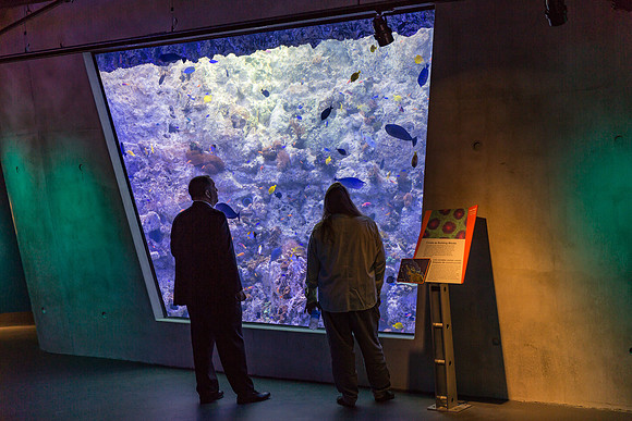20170508_Science_Museum_9C7C5339